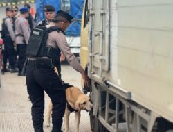 HADIRKAN RASA AMAN, SATGAS GAKKUM DAN UNIT K9 POLDA KEPRI PERIKSA BARANG BAWAAN PENUMPANG DI PELABUHAN RORO PUNGGUR