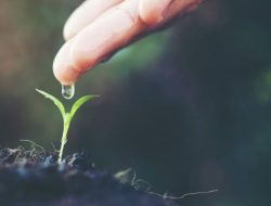 Indonesia sebagai Korporasi: Air, Negara, dan Krisis Niat Politik