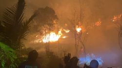 Kepri gerak cepat padamkan kebakaran hutan dan lahan di sembulang Batam