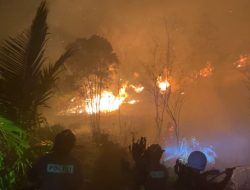 Kepri gerak cepat padamkan kebakaran hutan dan lahan di sembulang Batam