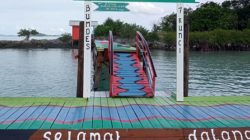 Pulau Termawan: Oase Wisata Bahari Anambas yang Menuntut Kesadaran Kolektif untuk Dijaga