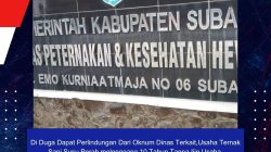 Di Duga Dapat Perlindungan Dari Oknum Dinas Terkait,Usaha Ternak Sapi Susu Perah melenggang 10 Tahun Tanpa Ijin Usaha.
