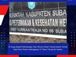 Di Duga Dapat Perlindungan Dari Oknum Dinas Terkait,Usaha Ternak Sapi Susu Perah melenggang 10 Tahun Tanpa Ijin Usaha.