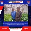 Partai Gema Bangsa Garut Dorong Inovasi Pertanian Mandiri: Perkuat Ketahanan Bibit Kentang di Kecamatan Cigedug