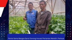 Partai Gema Bangsa Garut Dorong Inovasi Pertanian Mandiri: Perkuat Ketahanan Bibit Kentang di Kecamatan Cigedug